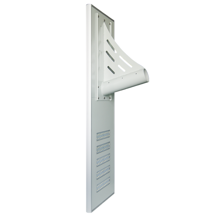 100W All-In-One Solar Street Light